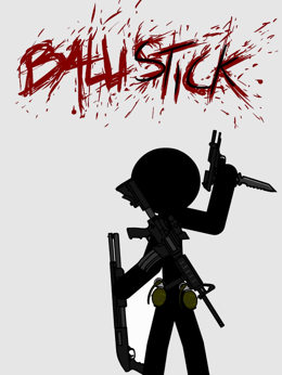 Ballistick cover